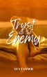 Tryst with the Enemy (eBook, ePUB) - Bild 1