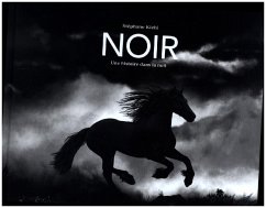 Cover Noir