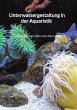 Unterwassergestaltung in der Aquaristik... - Bild 1