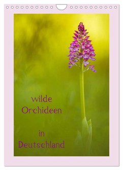 wilde Orchideen in Deutschland (Wandkalender 2024 DIN A4 hoch), CALVENDO Monatskalender