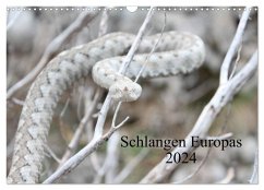 Schlangen Europas (Wandkalender 2024 DIN A3 quer), CALVENDO Monatskalender
