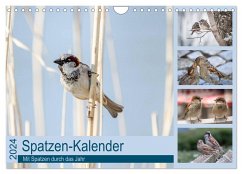 Spatzen-Kalender (Wandkalender 2024 DIN A4 quer), CALVENDO Monatskalender - Drews, Marianne
