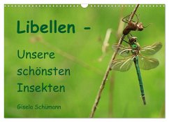 Libellen - Unsere schönsten Insekten (Wandkalender 2024 DIN A3 quer), CALVENDO Monatskalender