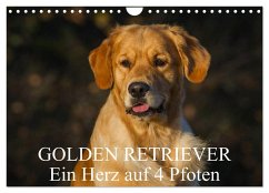 Golden Retriever - Ein Herz auf 4 Pfoten (Wandkalender 2024 DIN A4 quer), CALVENDO Monatskalender