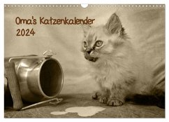 Oma's Katzenkalender 2024 (Wandkalender 2024 DIN A3 quer), CALVENDO Monatskalender