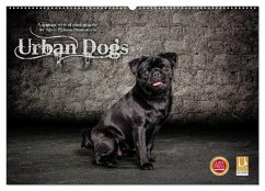 Urban Dogs - Hundekalender der anderen Art (Wandkalender 2024 DIN A2 quer), CALVENDO Monatskalender