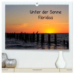 Unter der Sonne Floridas (hochwertiger Premium Wandkalender 2024 DIN A2 quer), Kunstdruck in Hochglanz - Haberstock, matthias