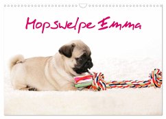 Mopswelpe Emma (Wandkalender 2024 DIN A3 quer), CALVENDO Monatskalender - Tiller, Sophie