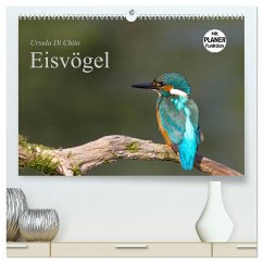 Eisvögel (hochwertiger Premium Wandkalender 2024 DIN A2 quer), Kunstdruck in Hochglanz - Di Chito, Ursula