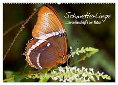 Schmetterlinge - zarte Geschöpfe der Natur (Wandkalender 2024 DIN A2 quer), CALVENDO Monatskalender