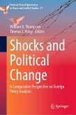 Shocks and Political Change (eBook, PDF)
