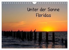 Unter der Sonne Floridas (Wandkalender 2024 DIN A4 quer), CALVENDO Monatskalender - Haberstock, matthias