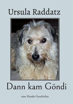 Dann kam Göndi (eBook, ePUB)