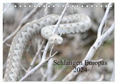 Schlangen Europas (Tischkalender 2024 DIN A5 quer), CALVENDO Monatskalender - Wilms, Michael