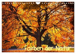 Farben der Natur (Wandkalender 2024 DIN A4 quer), CALVENDO Monatskalender