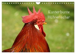 Kunterbunte Hühnerschar (Wandkalender 2024 DIN A4 quer), CALVENDO Monatskalender
