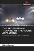 THE PROFESSIONAL TRAINING OF THE YOUNG APPRENTICE