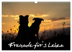 Hunde - Freunde für's Leben (Wandkalender 2024 DIN A3 quer), CALVENDO Monatskalender
