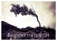 Baumporträts 2024 (Wandkalender 2024 DIN A2 quer), CALVENDO Monatskalender