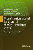 Urban Transformational Landscapes in the City-Hinterlands of Asia (eBook, PDF)
