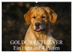 Golden Retriever - Ein Herz auf 4 Pfoten (Wandkalender 2024 DIN A2 quer), CALVENDO Monatskalender