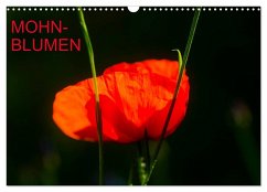 Mohnblumen (Wandkalender 2024 DIN A3 quer), CALVENDO Monatskalender
