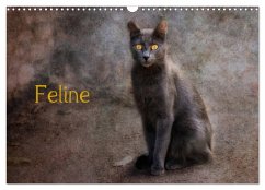 Feline (Wandkalender 2024 DIN A3 quer), CALVENDO Monatskalender