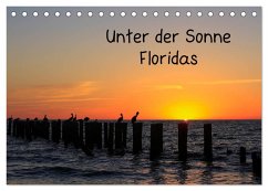 Unter der Sonne Floridas (Tischkalender 2024 DIN A5 quer), CALVENDO Monatskalender - Haberstock, matthias