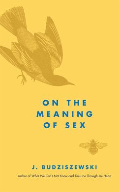 Cover On the Meaning of Sex (eBook, ePUB)