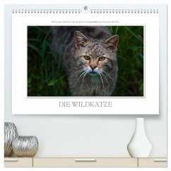 Emotionale Momente: Die Wildkatze. (hochwertiger Premium Wandkalender 2024 DIN A2 quer), Kunstdruck in Hochglanz