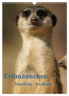 Erdmännchen-Meerkats-Surikate CH Version (Wandkalender 2024 DIN A3 hoch), CALVENDO Monatskalender - Hebgen, Peter