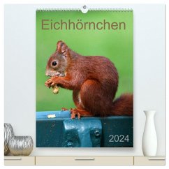 Eichhörnchen (hochwertiger Premium Wandkalender 2024 DIN A2 hoch), Kunstdruck in Hochglanz