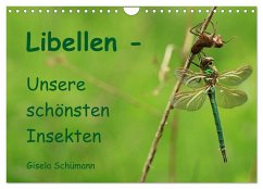 Libellen - Unsere schönsten Insekten (Wandkalender 2024 DIN A4 quer), CALVENDO Monatskalender