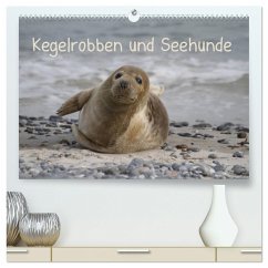 Kegelrobben und Seehunde (hochwertiger Premium Wandkalender 2024 DIN A2 quer), Kunstdruck in Hochglanz