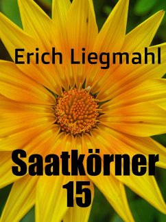 Saatkörner 15 (eBook, ePUB)