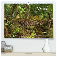 Wald (hochwertiger Premium Wandkalender 2024 DIN A2 quer), Kunstdruck in Hochglanz