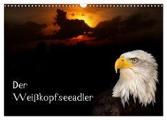 Der Weißkopfseeadler (Wandkalender 2024 DIN A3 quer), CALVENDO Monatskalender