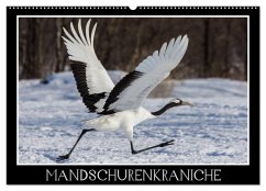 Mandschurenkraniche (Wandkalender 2024 DIN A2 quer), CALVENDO Monatskalender