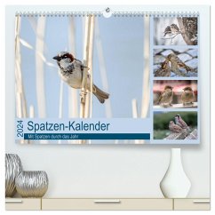Spatzen-Kalender (hochwertiger Premium Wandkalender 2024 DIN A2 quer), Kunstdruck in Hochglanz