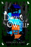 Down The Well (eBook, ePUB)