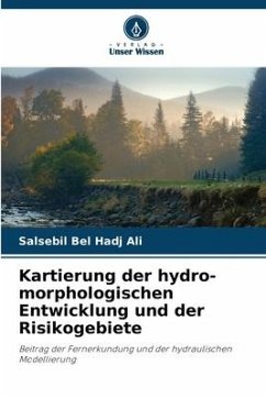 Kartierung der hydro-morphologischen Entwicklung und der Risikogebiete - Bel Hadj Ali, Salsebil
