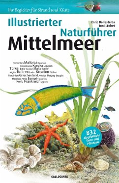 Illustrierter Naturfürhrer Mittelmeer - Ballesteros i Sagarra, Enric; Llobet, Toni