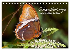 Schmetterlinge - zarte Geschöpfe der Natur (Tischkalender 2024 DIN A5 quer), CALVENDO Monatskalender
