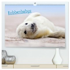 Robbenbabys (hochwertiger Premium Wandkalender 2024 DIN A2 quer), Kunstdruck in Hochglanz