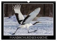 Mandschurenkraniche (Wandkalender 2024 DIN A3 quer), CALVENDO Monatskalender - Schwarz Fotografie, Thomas