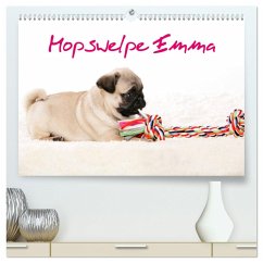 Mopswelpe Emma (hochwertiger Premium Wandkalender 2024 DIN A2 quer), Kunstdruck in Hochglanz - Tiller, Sophie