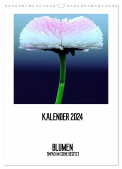 BLUMEN EINFACH IN SZENE GESETZT (Wandkalender 2024 DIN A3 hoch), CALVENDO Monatskalender