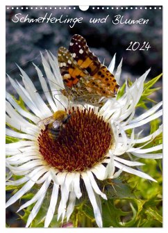 Schmetterlilnge und Blumen (Wandkalender 2024 DIN A3 hoch), CALVENDO Monatskalender - Calvendo