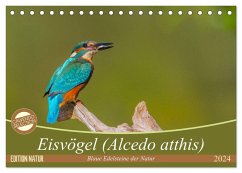 Eisvögel (Alcedo atthis) - Edelsteine der Natur (Tischkalender 2024 DIN A5 quer), CALVENDO Monatskalender - Di Chito, Ursula