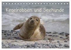 Kegelrobben und Seehunde (Tischkalender 2024 DIN A5 quer), CALVENDO Monatskalender